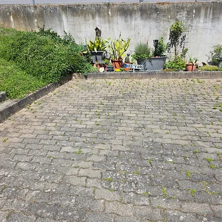 Schaefer Ruhig Und Perfekt Fuer Unvergesslichen Urlaub Bad Kissingen
